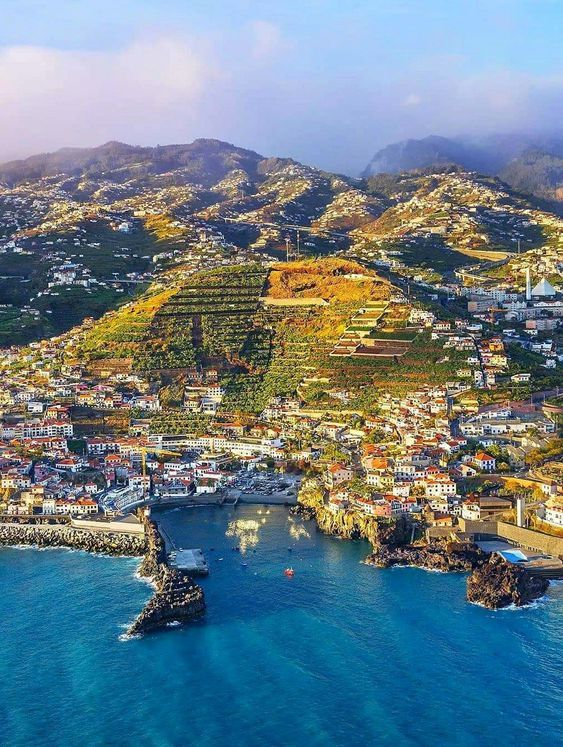 Αναβαθμίδες και σπίτια στην πλαγιά, Μαδέρα