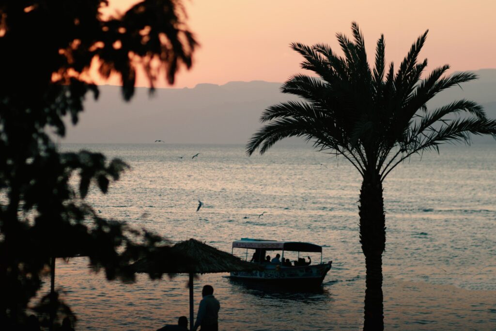 Φοίνικας στην ακτή το σούρουπο, Άκαμπα