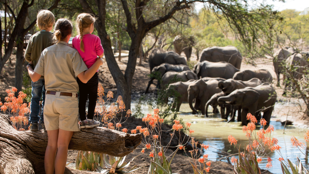ngala wildchild family kids elephant