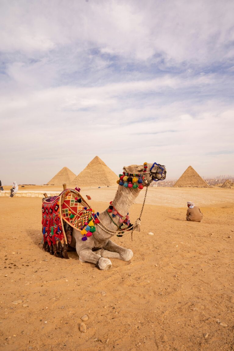 Αίγυπτος:Cairo Weekend – 4 ημέρες