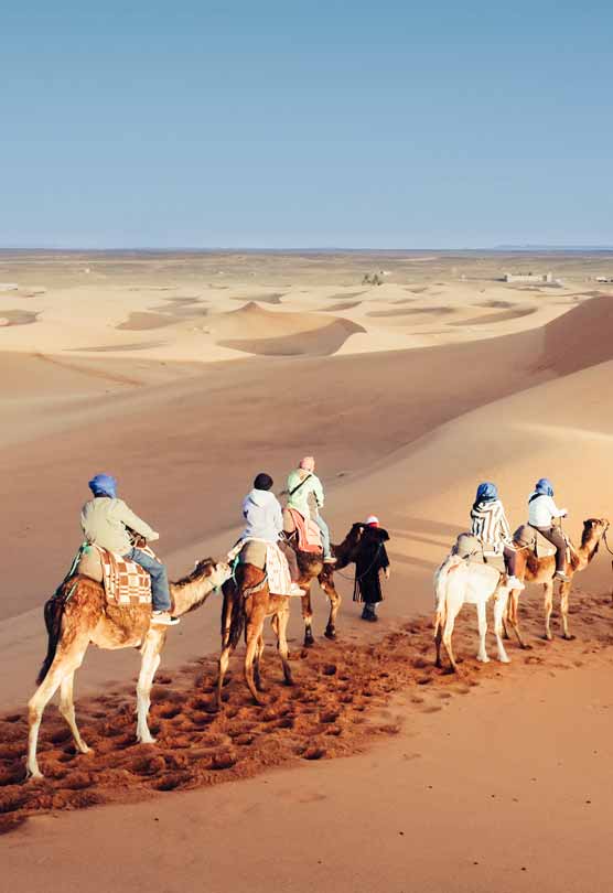 maroco dest