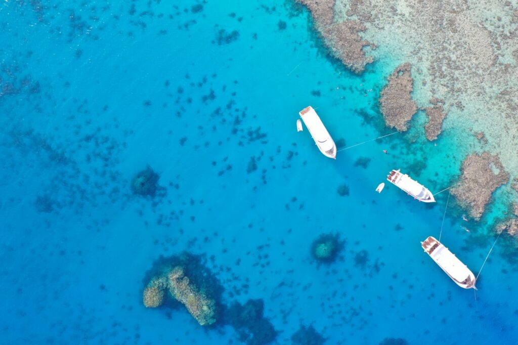 Κοραλλιογενής ύφαλος στην Ερυθρά Θάλασσα κοντά στη Χουργκάντα